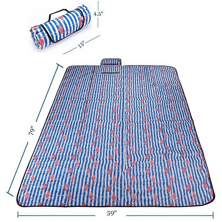 blue and white picnic blanket (1).jpg